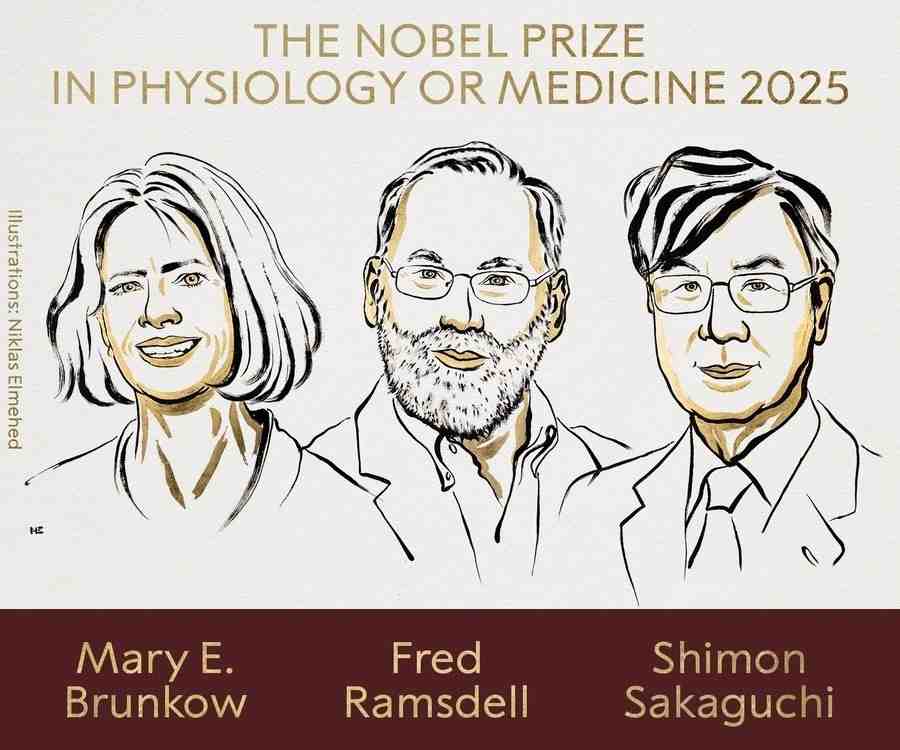 Nobel Prize in Medicine 2025 Awarded for Breakthrough Discoveries in Peripheral Immune Tolerance