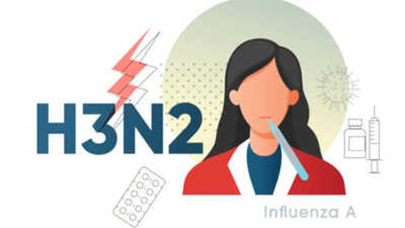 H3N2 vs Common Cold: Warning Signs for Seasonal Viral Infections You Must Not Ignore