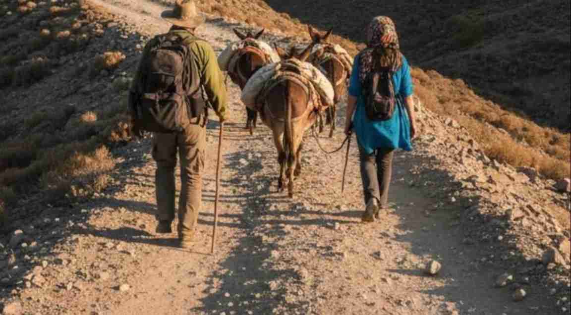 2 Indians Kidnapped, Tortured on Livestream in Azerbaijan While Trying ‘Donkey Route’ to US